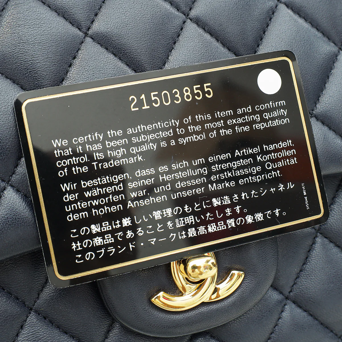Thumbnail 13